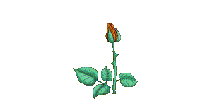 Gif animé bonne journée rose 